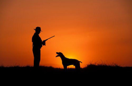 Adaptabilidad Continuar Posible El viejo perro cazador - Noticias de Campana, La Auténtica Defensa